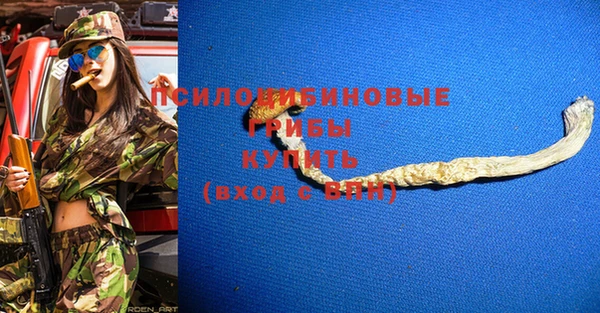 МДМА Бородино